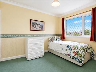 Picture 15